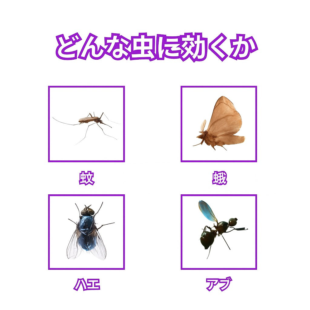 【本日終了!NO.1位 獲得】Ka™ 閃光の昆虫ハンター!